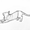 mort-tiger_sketch