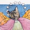 angel_kitty
