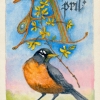 april_robin_1