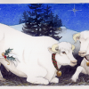 oxen
