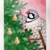 partridge